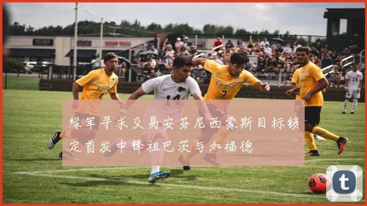 绿军寻求交易安芬尼西蒙斯目标锁定首发中锋祖巴茨与加福德